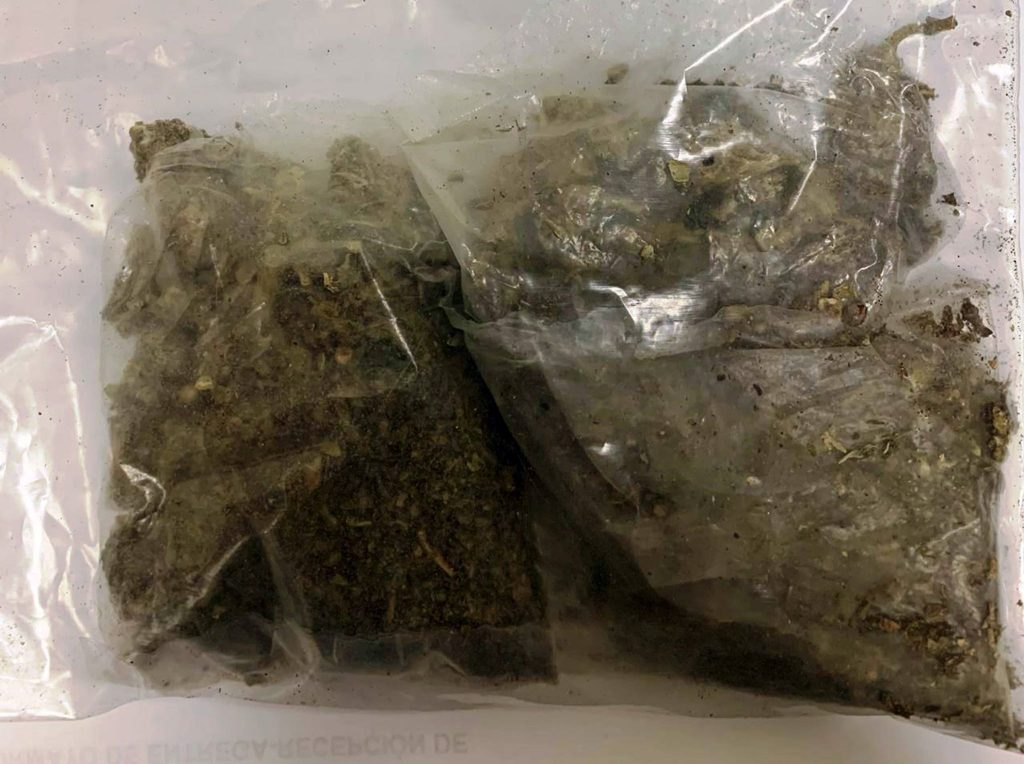 Elementos de la CES detienen a sujeto por posesión de enervantes