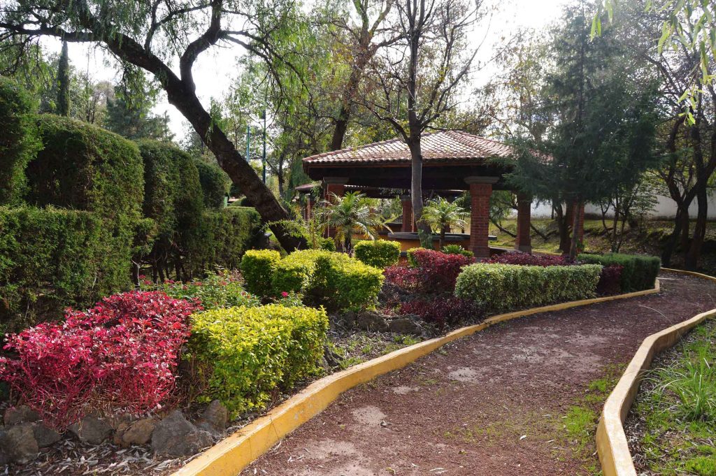 Realizará CGE “Noche de Jardín” para fomentar el cuidado del medio ambiente