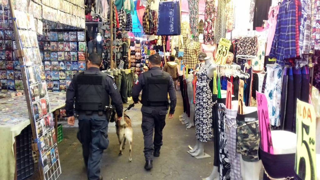 La Unidad Canina de la CES implementa “Operativo Tianguis Seguro” en Apizaco