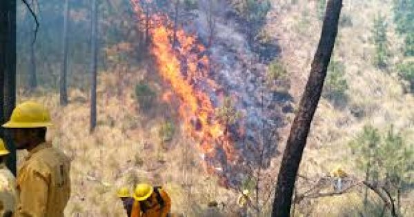 Atiende Protección Civil Estatal 12 incendios forestales