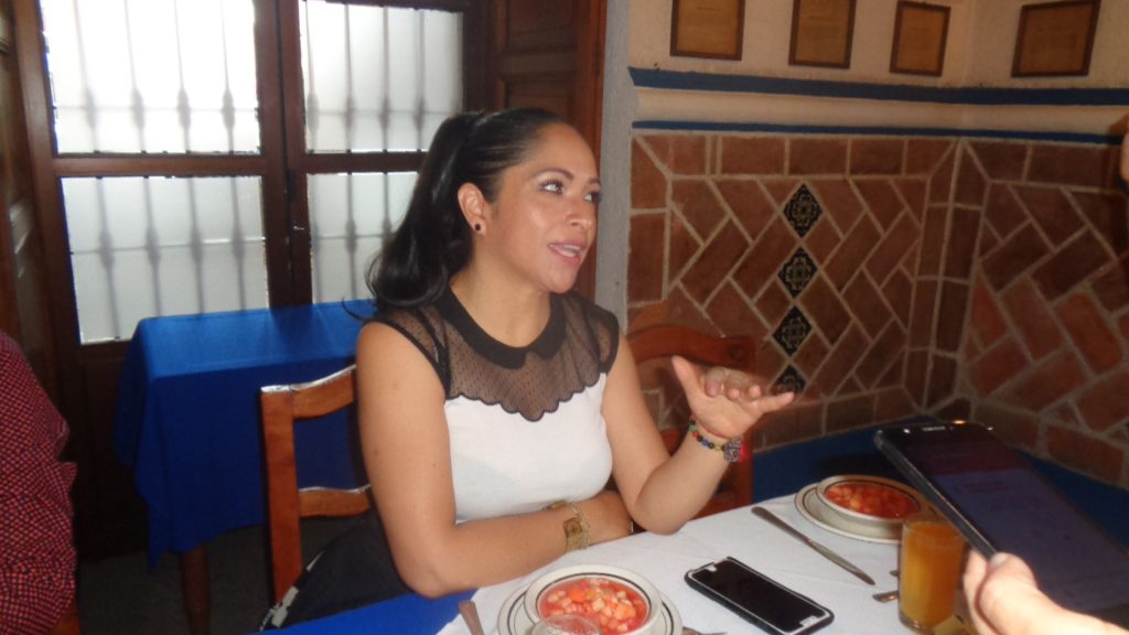 Le pedimos al PAN y al PRI que hagan campaña, afirma diputada del PT