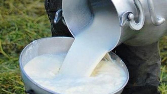 Por el TLCAN se perdieron 600 mil unidades de producción de leche