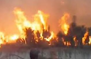 Aeronave cisterna combate incendio forestal en Tepeyahualco