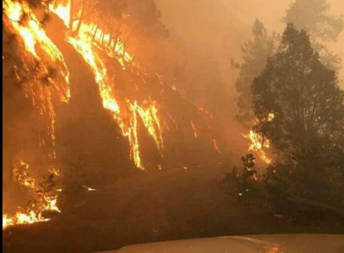 Protección civil estatal liquidó siete incendios forestales