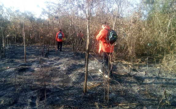 Pide Protección Civil extremar medidas preventivas para evitar incendios forestales