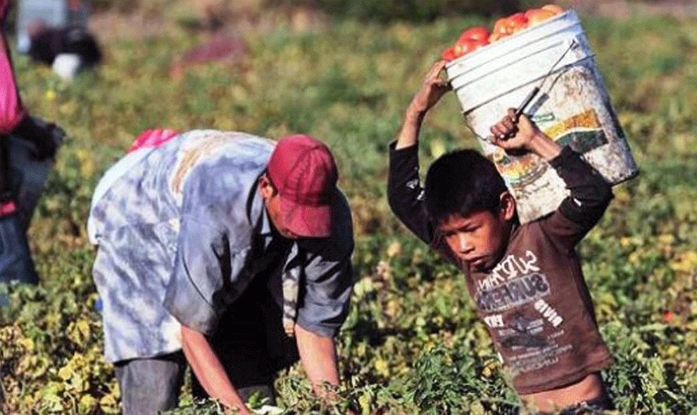 Trabajan en ocupaciones no permitidas más de 26 mil niños tlaxcaltecas