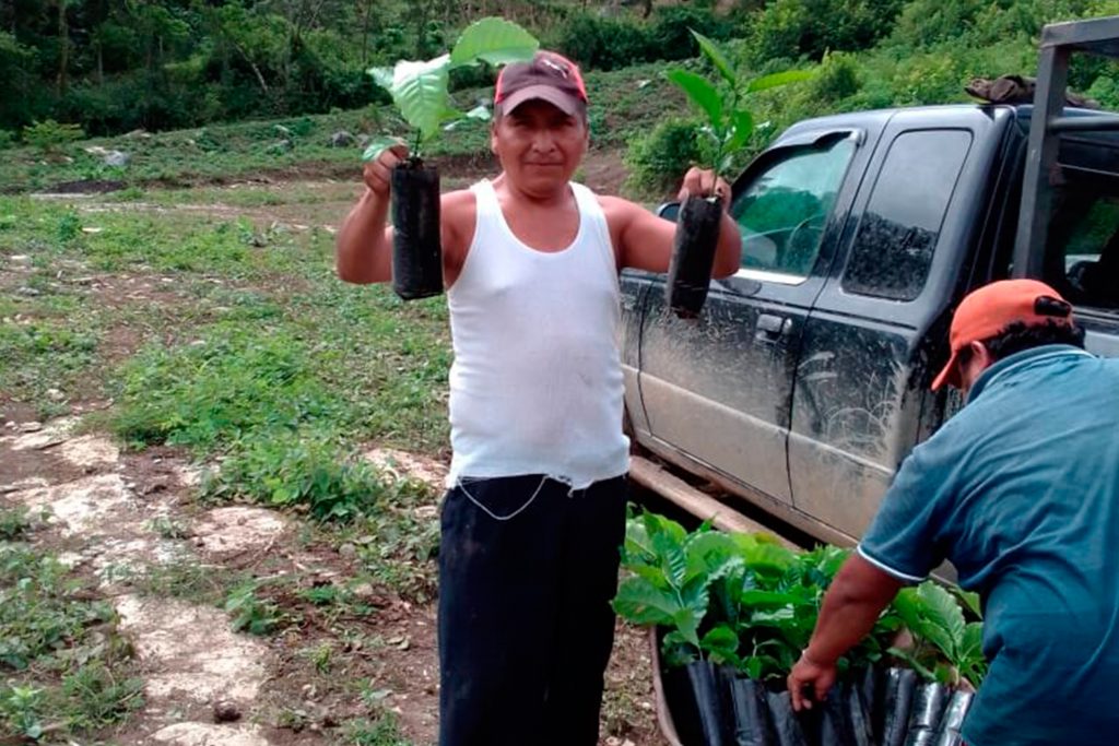 Impulsa Gobierno proyectos de economía social