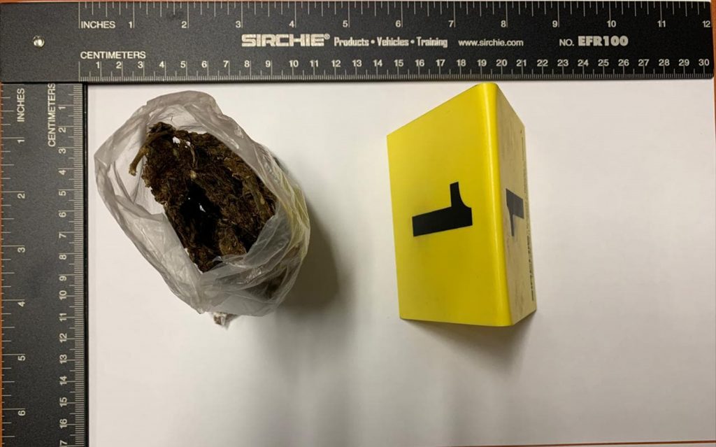 Desde Tlaxcala: La SSC asegura en Xicohtzinco a una persona con enervantes