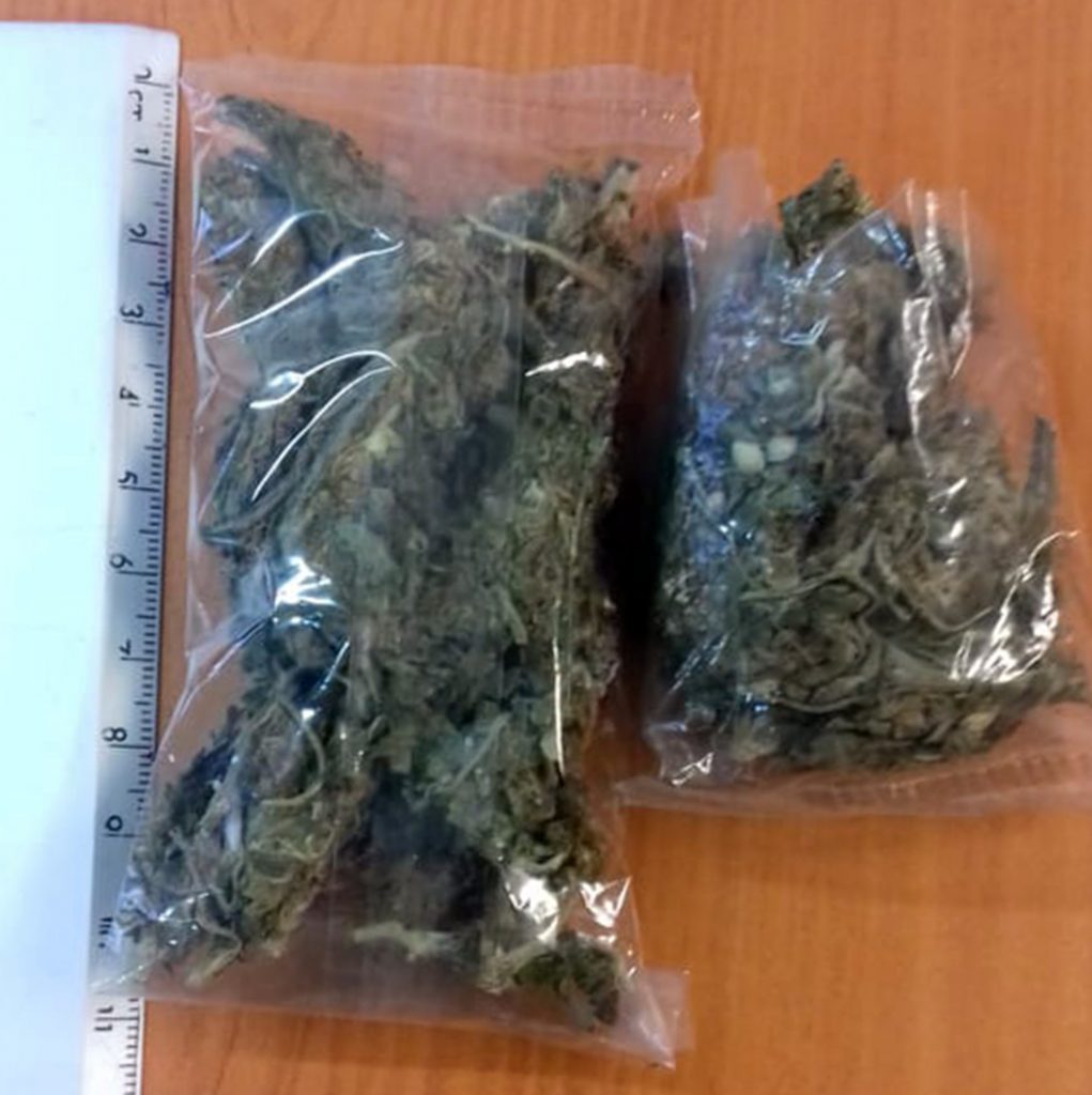 Desde Tlaxcala: Policía Estatal asegura en la capital a sujeto con posesión de marihuana