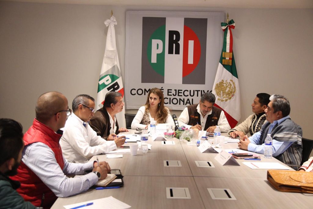 Poner en el centro de la agenda las causas de los pueblos y grupos indígenas,objetivo del PRI: Carolina Viggiano.