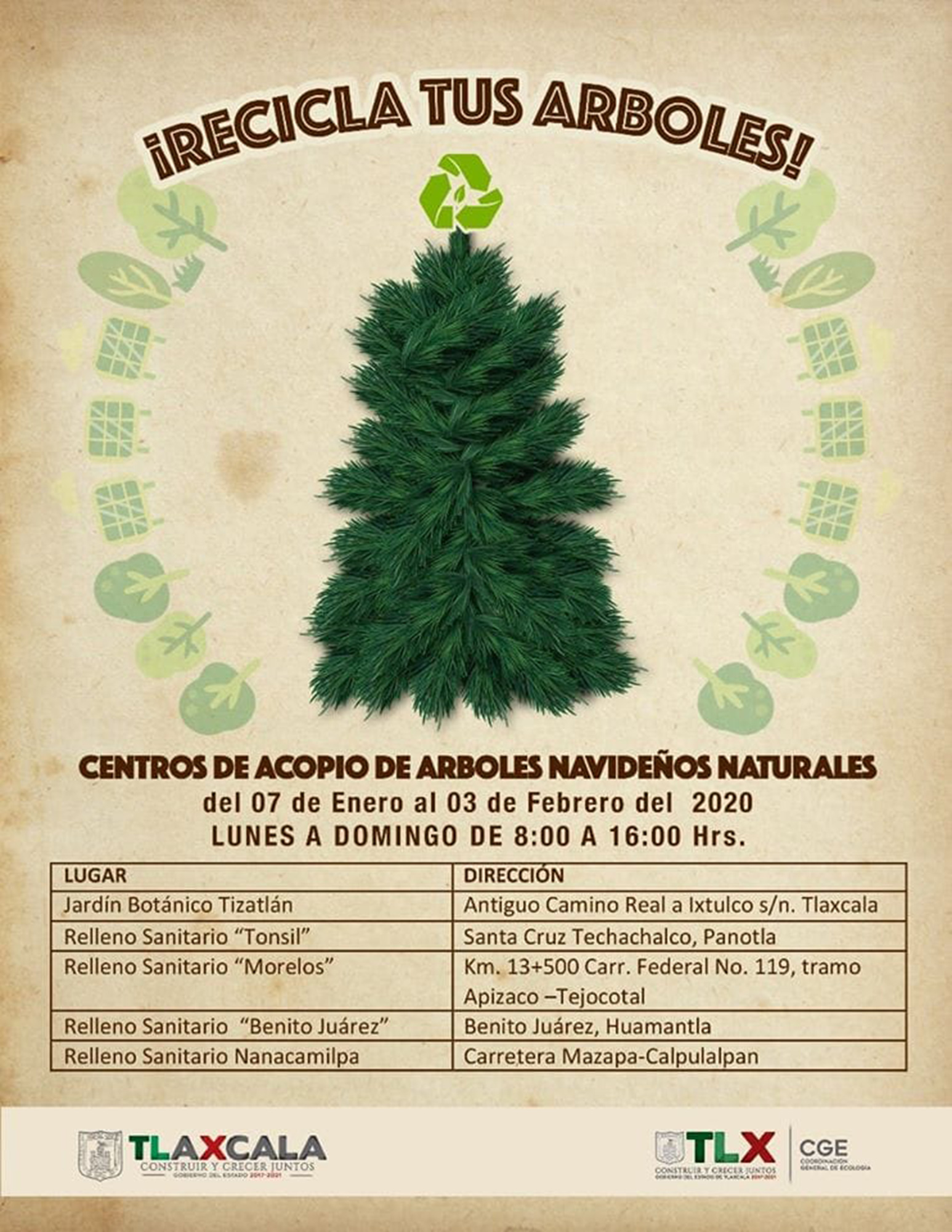 Invita CGE a la población a reciclar sus árboles navideños.