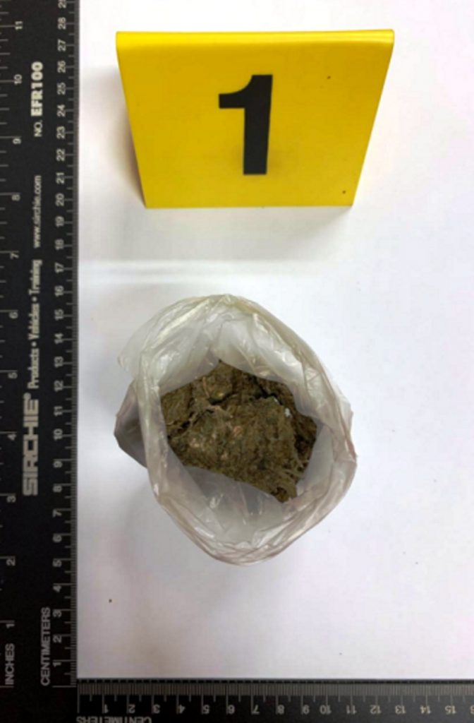 Desde Tlaxcala: Policía Estatal asegura en Xicohtzinco a una persona con marihuana