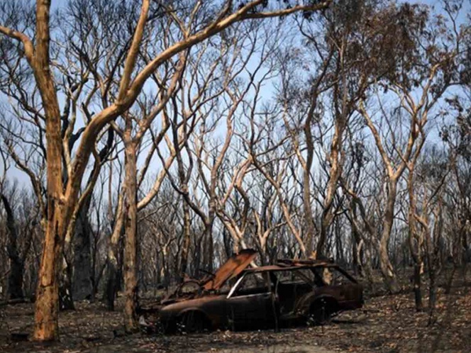 ¡Lluvia cae en Australia!; ¿la naturaleza podrá aplacar las llamas?