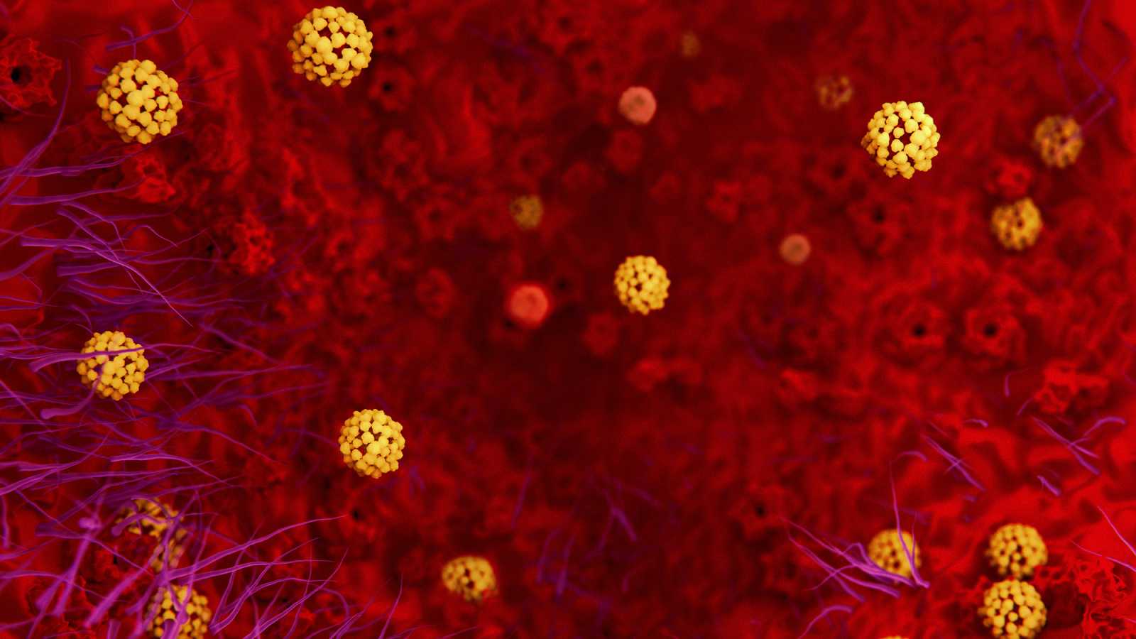 El coronavirus es declarado una emergencia internacional