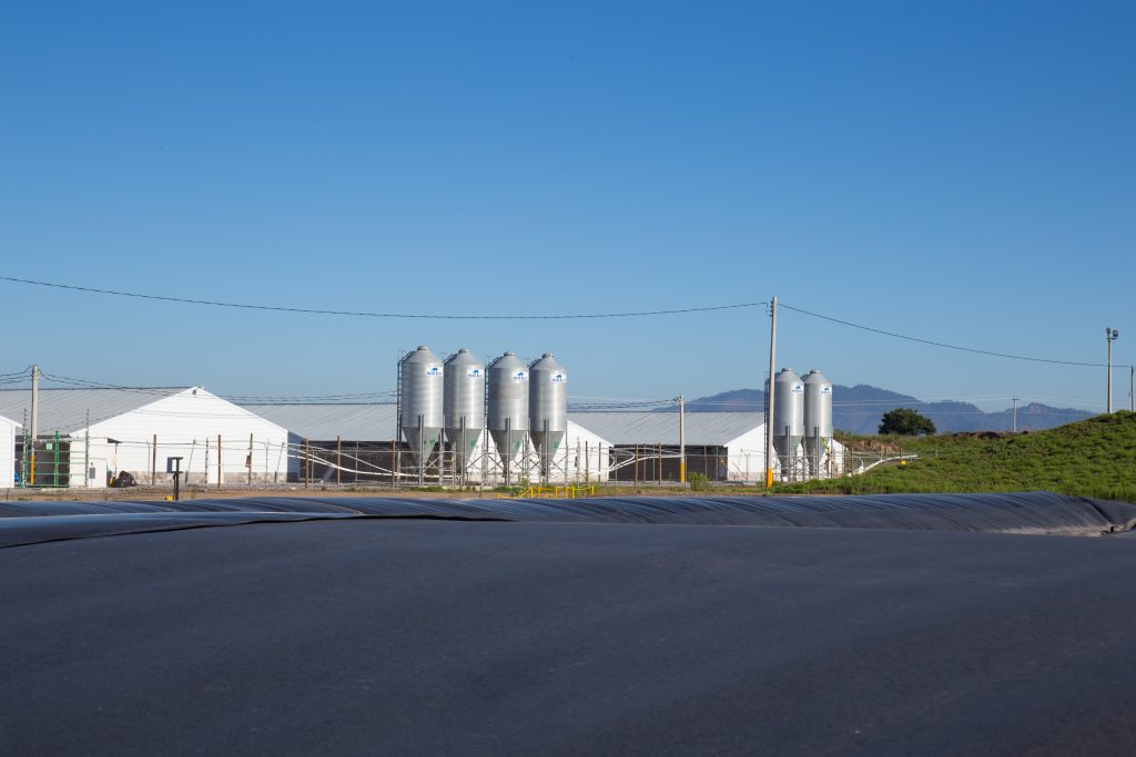 Granjas Carroll de México genera cerca de 10 mil empleos; la mayoría en Puebla