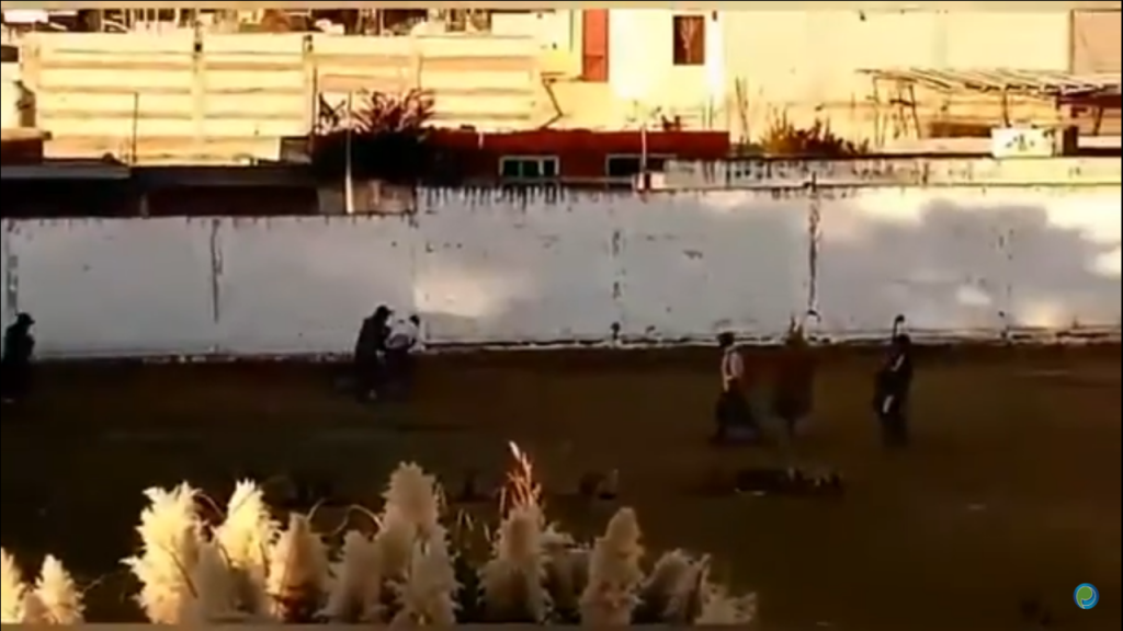 Vecinos atrapan a desgraciado que golpeó a una mujer