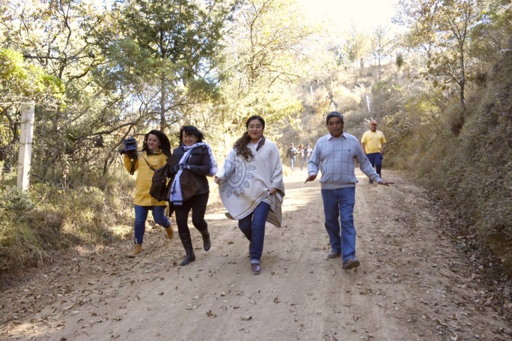 Recorre SECTURE centros de abastecimiento de luciérnagas.