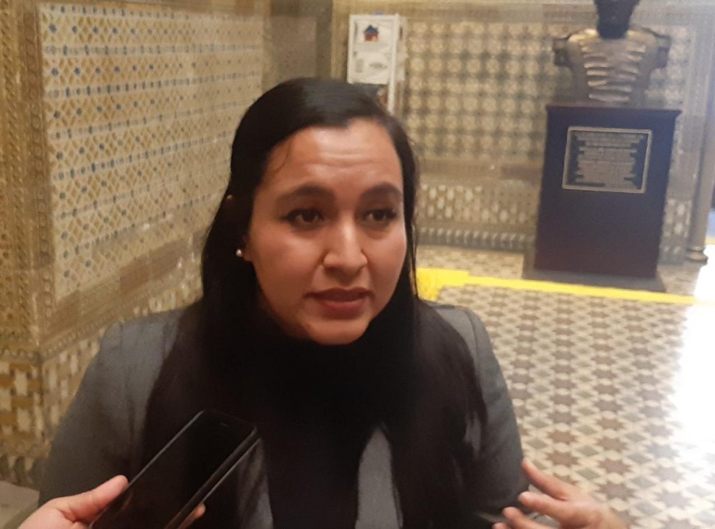 Busca Congreso crear una ley en materia de desaparecidos: Rodríguez Sandoval