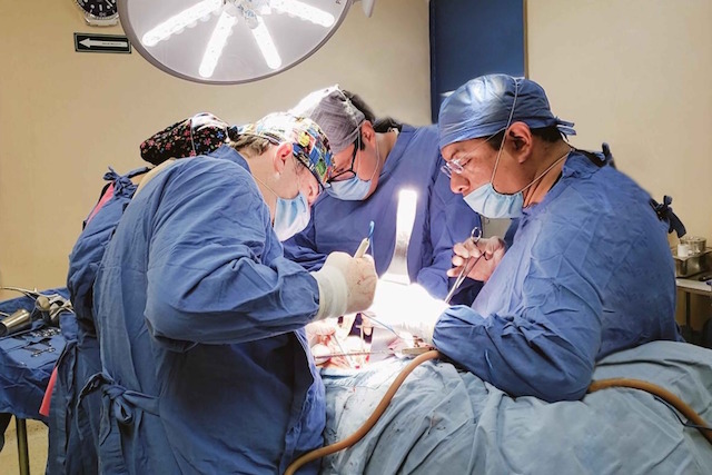 Desde Tlaxcala: Realiza SESA primer trasplante renal de 2020