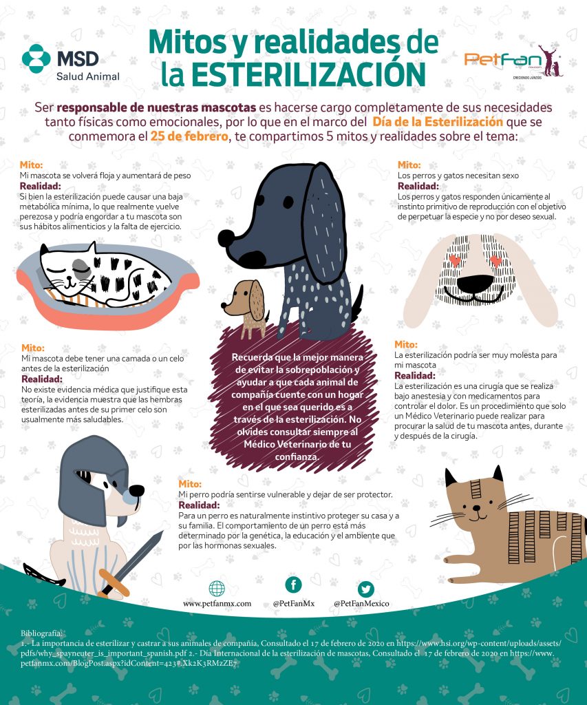 ¿Sabías que un perro sin esterilizar tiene una descendencia  de hasta 33 mil cachorros?