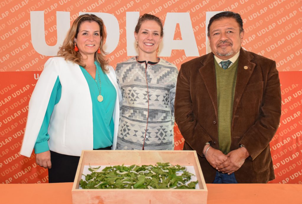 Arte y Ciencia en la nueva exposición en Capilla del Arte UDLAP