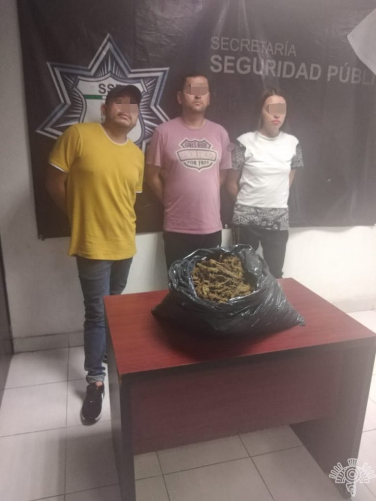 Detiene SSP a tres presuntos narcomenudistas