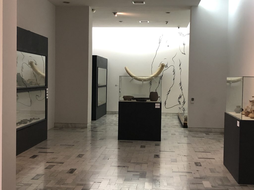 Recorrido guiado por la Sala Prehispánica del Museo Francisco Cossío