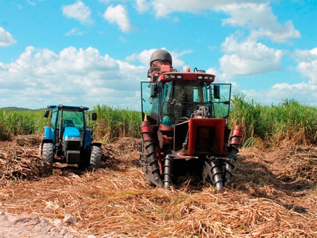El Producto Interno Bruto Nominal (PIBN) a precios de mercado se situó en 24,698,563 millones de pesos