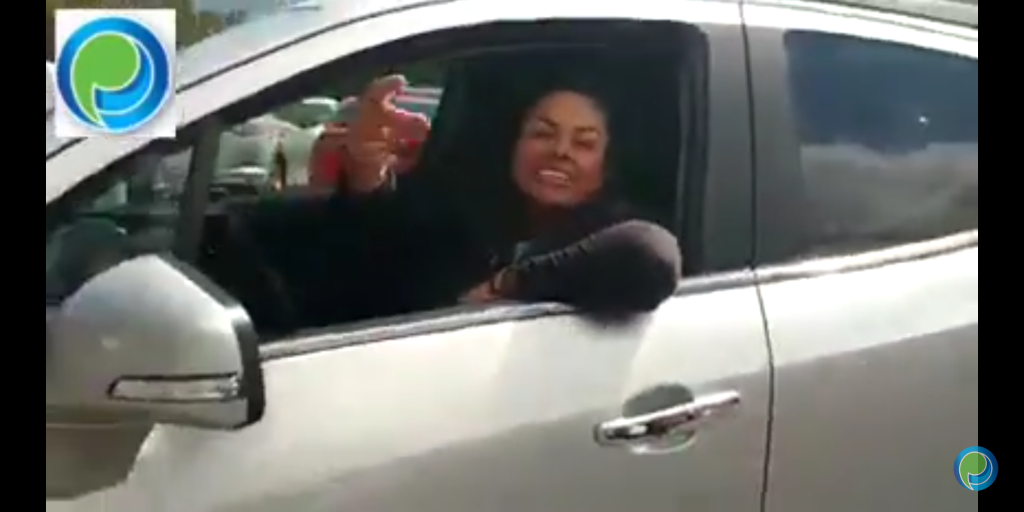 Surge Lady “Gato de Mierda”