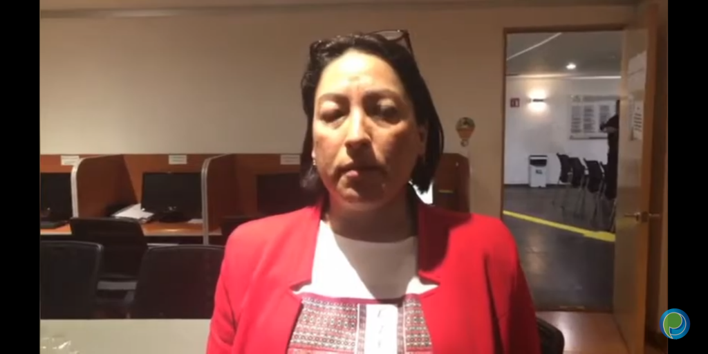 Diputada descartó necesidad de aumentar penas corporales a feminicidas