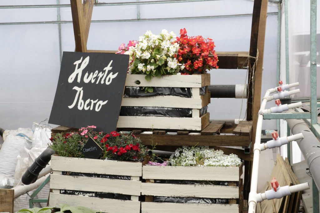 Huerto IBERO desarrollará investigación sobre seguridad alimentaria