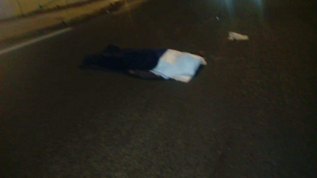 Ratas intentan asaltar a trailero y le provocan un percance