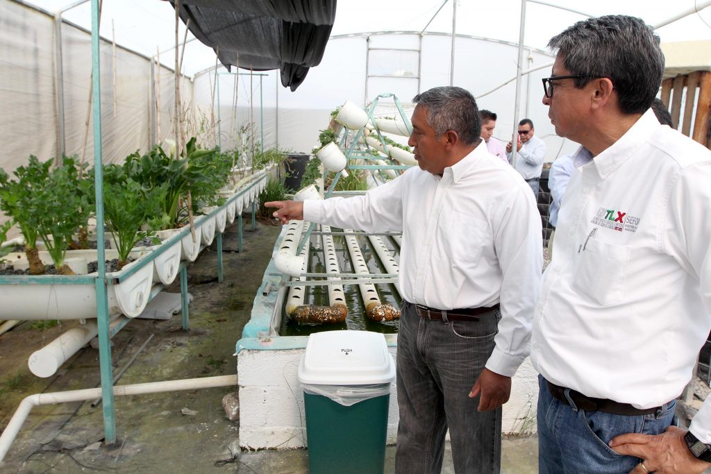 Impulsa SEFOA producción acuícola para la temporada de cuaresma.