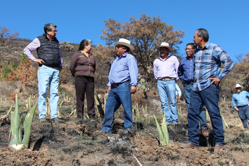 Entrega SEFOA centro de acopio de productos derivados del maguey.