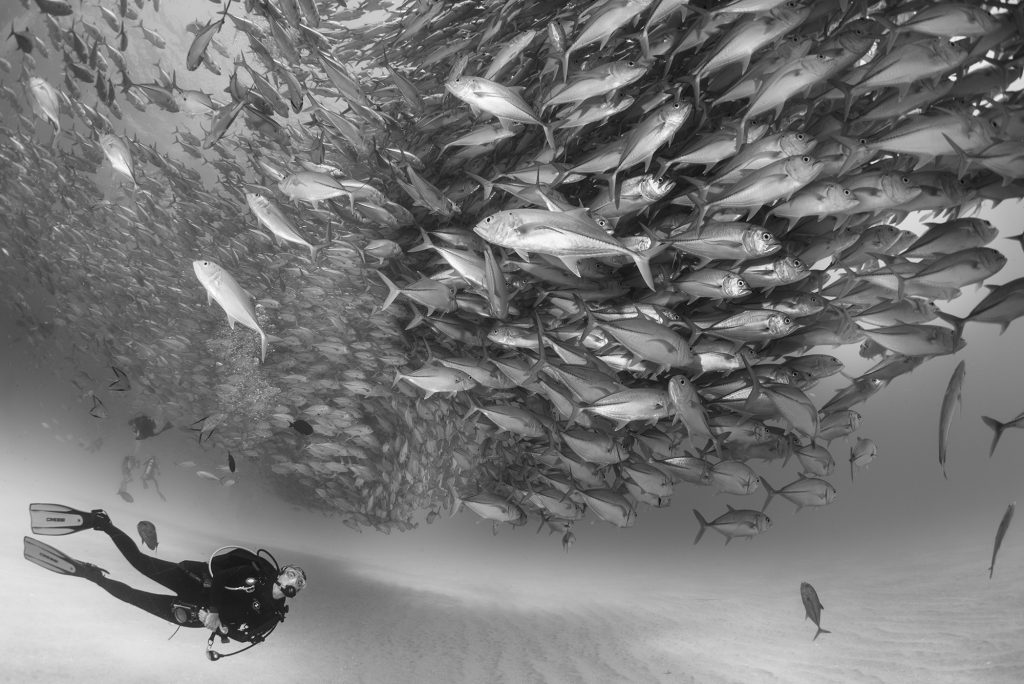 Mi sueño y mi meta fue ser científica