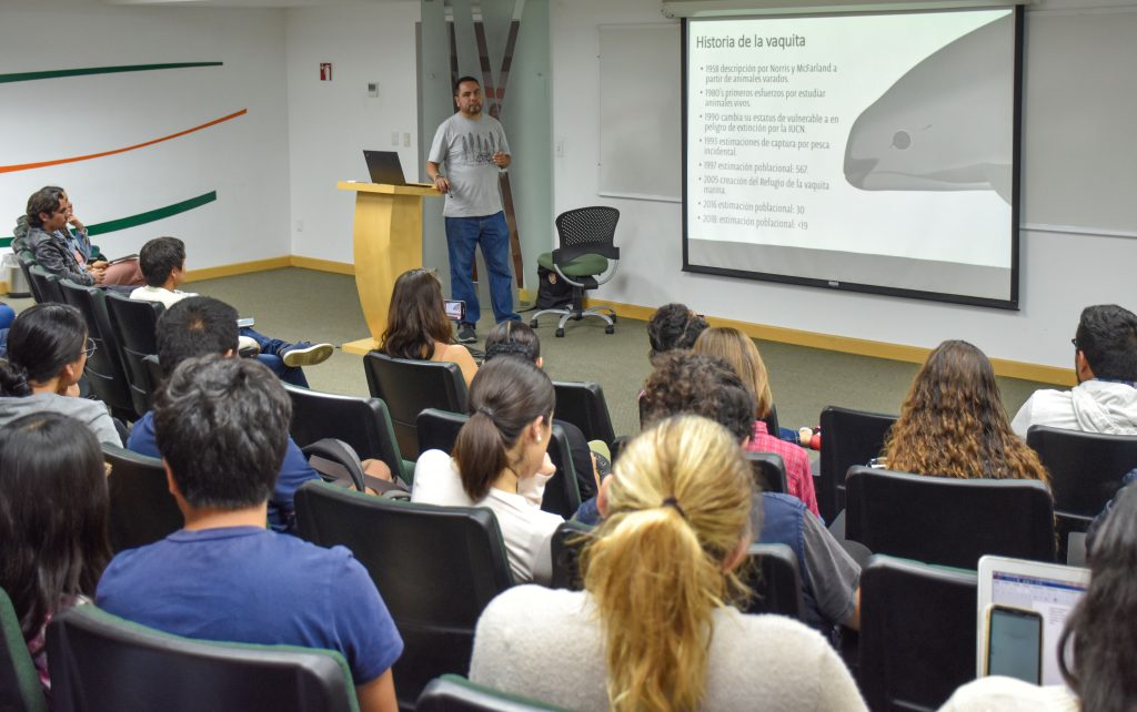 Analizan en la UDLAP el estado actual de la vaquita marina