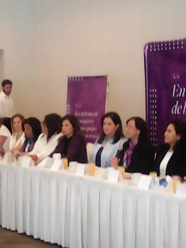 Vídeos desde Puebla: Mujeres de varios partidos presentaron el Decálogo Feminista