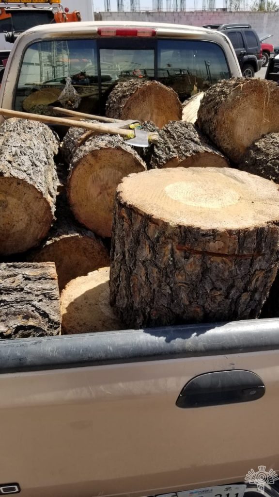 Asegura Policía Estatal a dos presuntos talamontes en Nopalucan