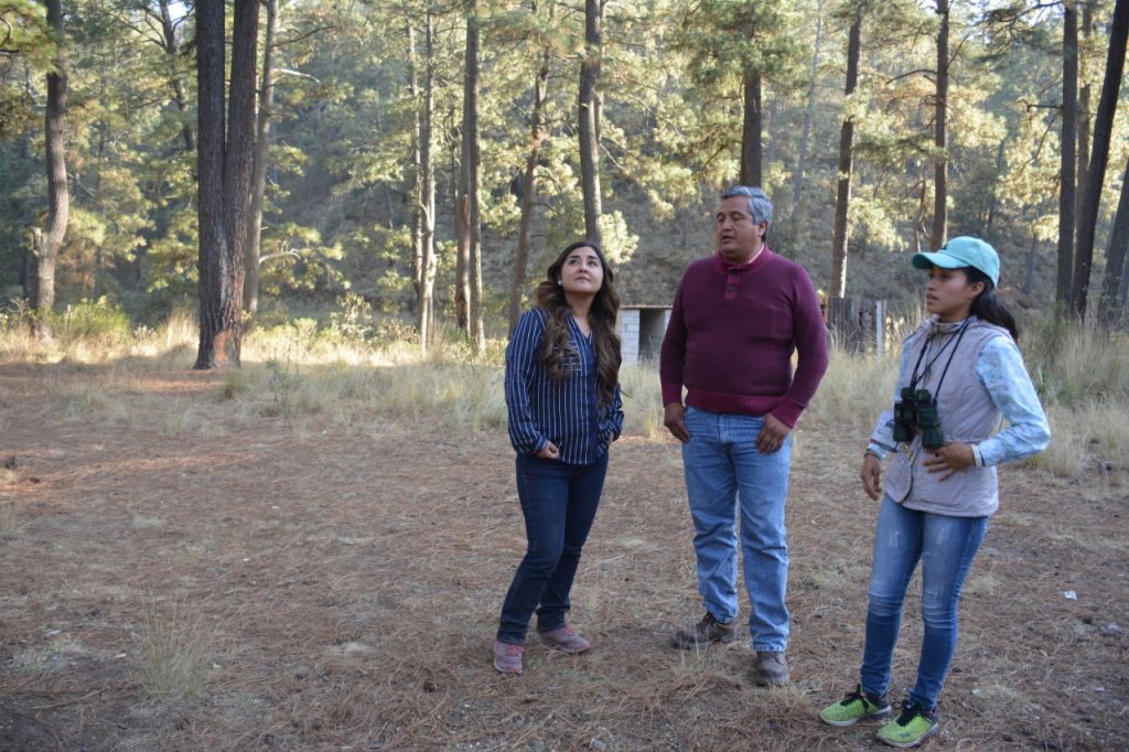 Recorre Secture centros de abastecimiento de luciérnagas en Calpulalpan