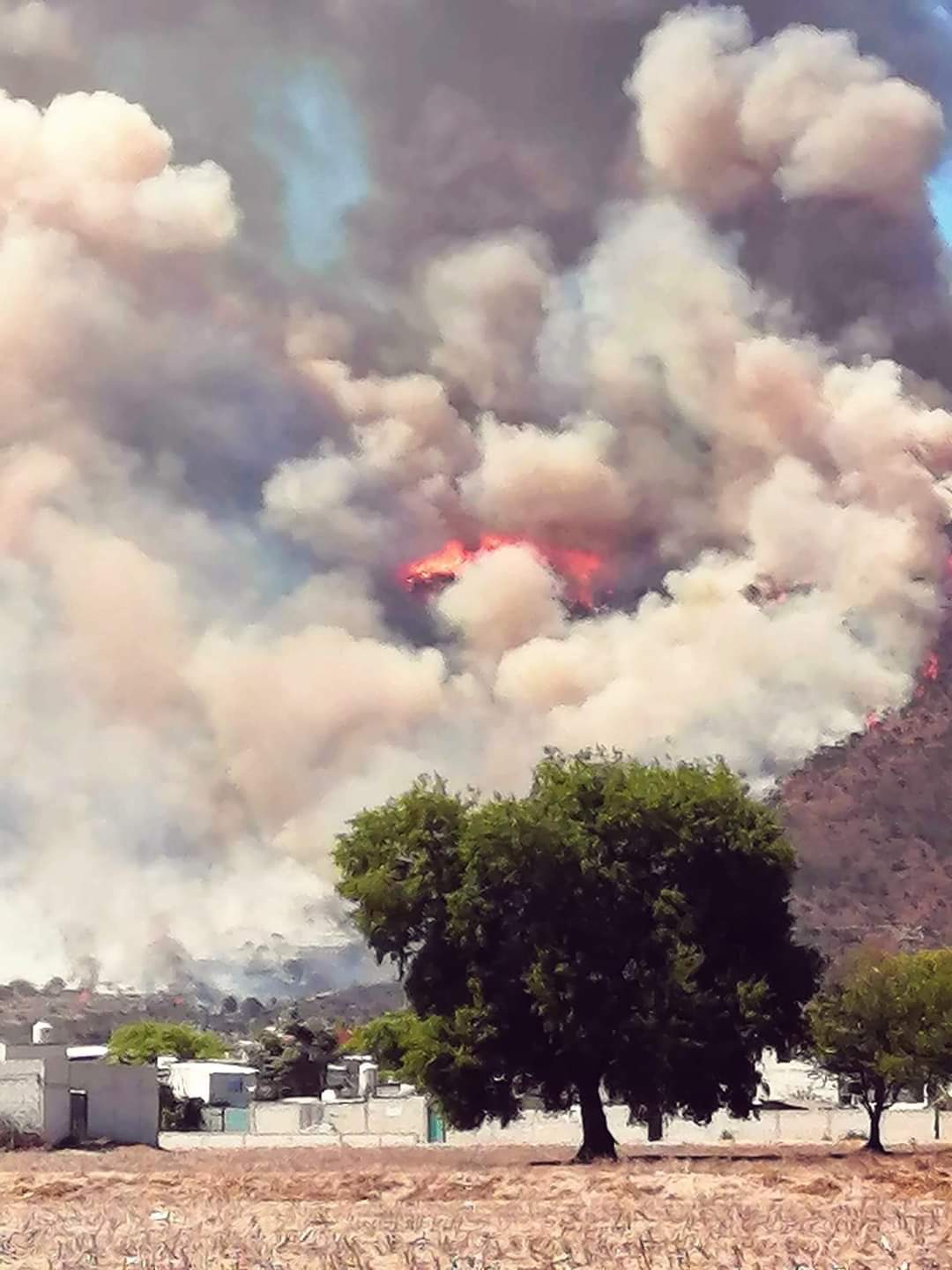 Se registró fuerte incendio forestal en el municipio de Libres