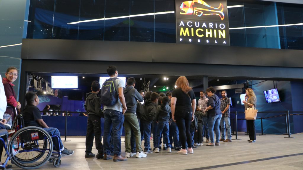 Disfrutan niñas y niños del SEDIF paseo por Acuario Michin