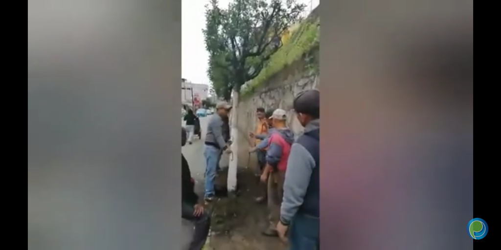 Vecinos de la Avenida Revolución en Huauchinango se oponen a tala de árboles