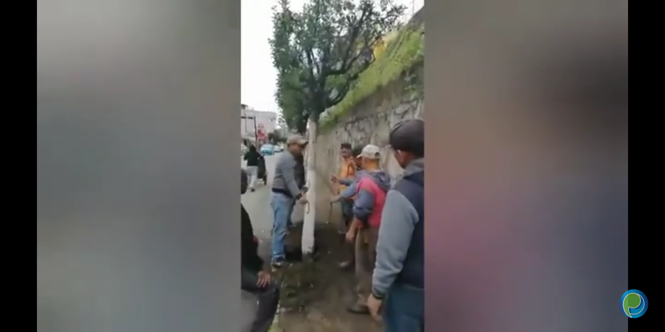 Vecinos de la Avenida Revolución en Huauchinango se oponen a tala de árboles