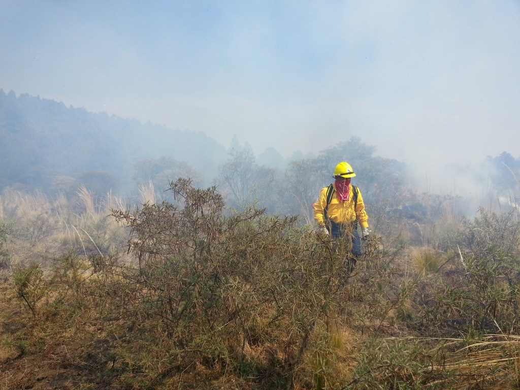 Puebla lleva 100 incendios forestales en los primeros tres meses de 2020 