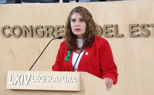 Diputada de Morena presenta iniciativa a favor del aborto en Guanajuato