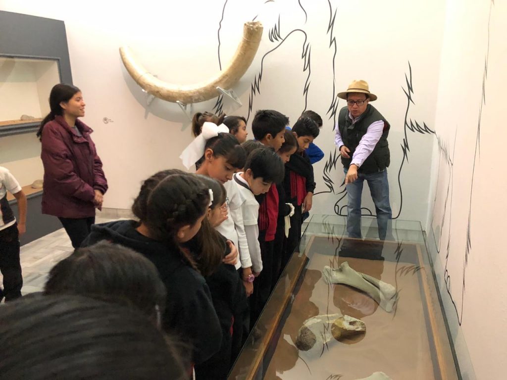 Recorridos guiados los miércoles del mes en el Museo Francisco Cossío
