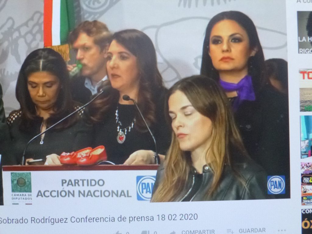 El tipo penal del feminicidio no debe desaparecer, afirma diputada del PAN