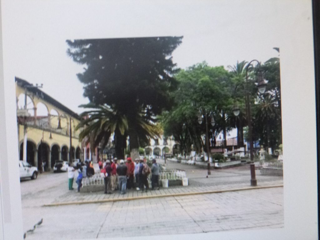 La pobreza y la pandemia llevan a la gente de la Sierra Norte a pedir apoyo