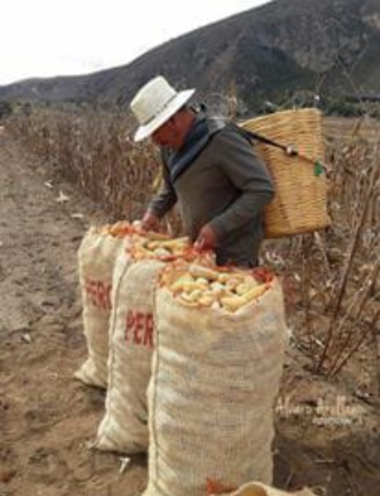 Productores de galletas de maíz piden que su producto sea incluido en las despensas del gobierno estatal