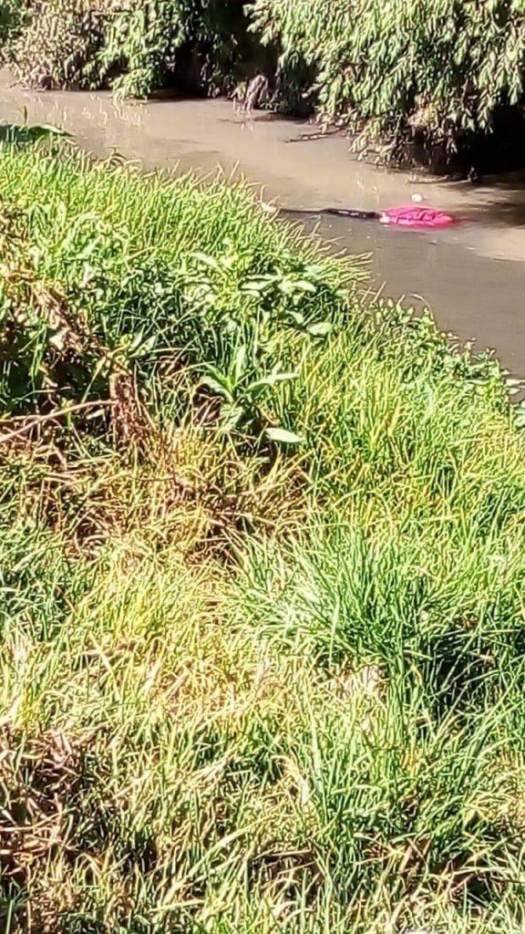 Hallan cadáver con impactos de arma de fuego en un canal del Río Atoyac.